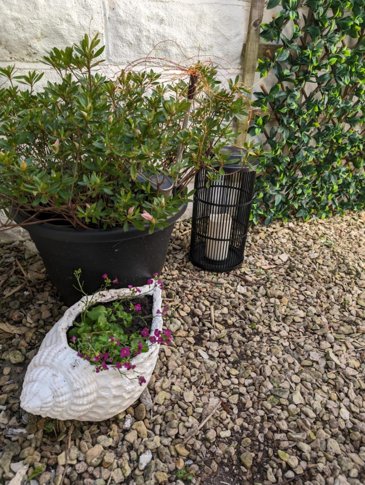 Coastal Penarth Dream! Close To Cardiff Superb Location Near Bars And Restaurants! Dog Friendly And Welcome Breakfast Pack! المظهر الخارجي الصورة